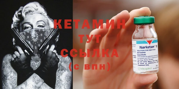 гидра Арсеньев