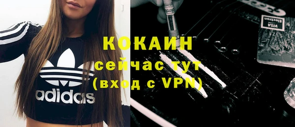 прущие грибы Аркадак