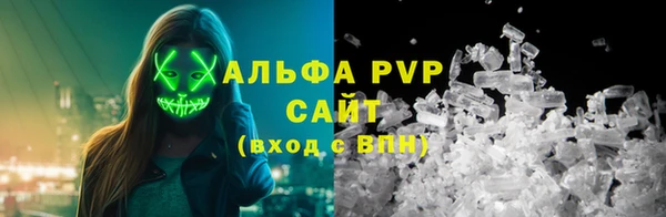 гидра Арсеньев
