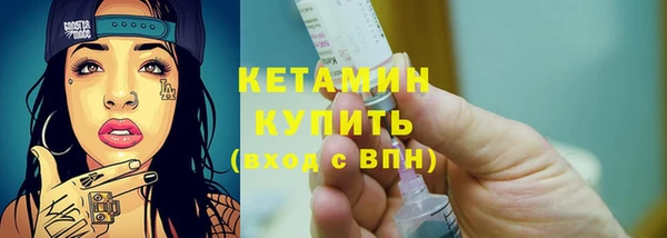 крисы Инта