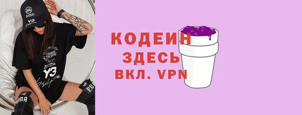 гидра Арсеньев