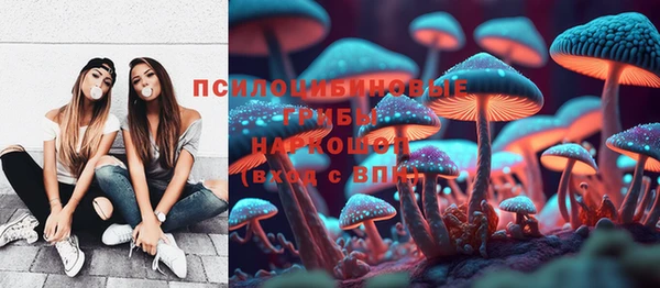 ГАЛЛЮЦИНОГЕННЫЕ ГРИБЫ Армянск