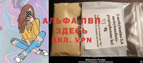 индика Инсар
