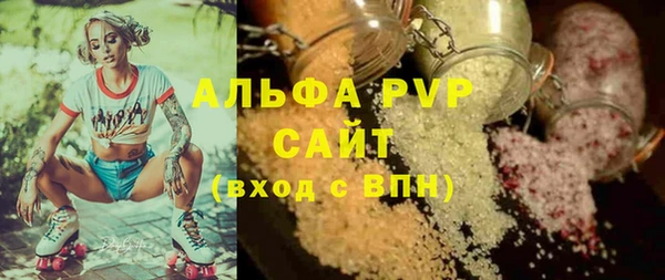 прущие грибы Аркадак