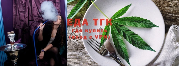 прущие грибы Аркадак