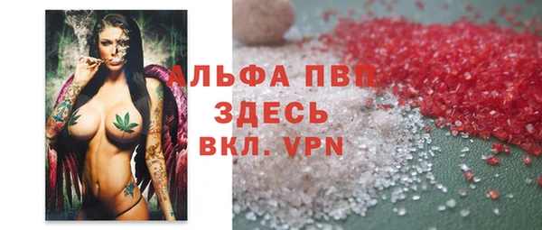 прущие грибы Аркадак