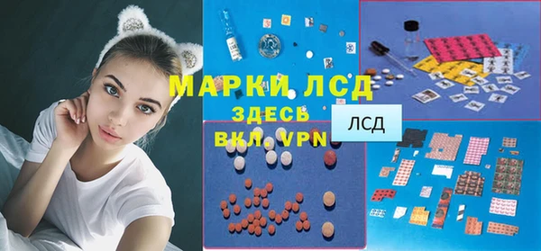 прущие грибы Аркадак