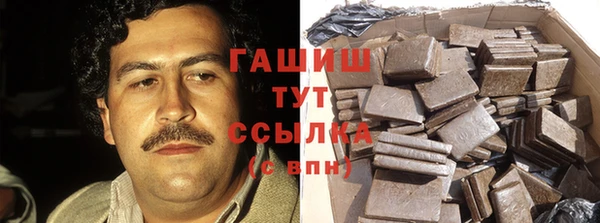 прущие грибы Аркадак