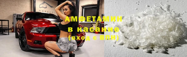 гидра Арсеньев