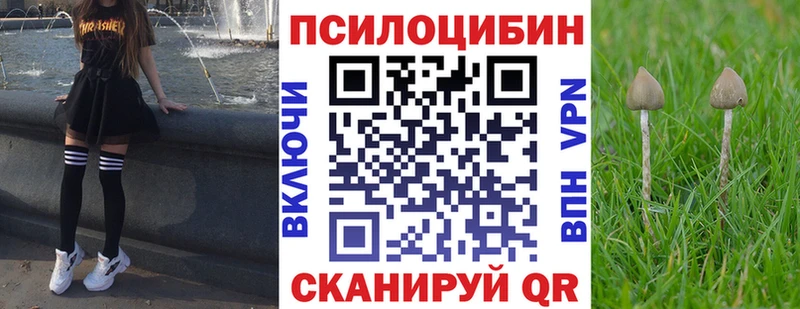 Псилоцибиновые грибы GOLDEN TEACHER  Сосногорск 